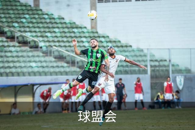 球盟会公司介绍